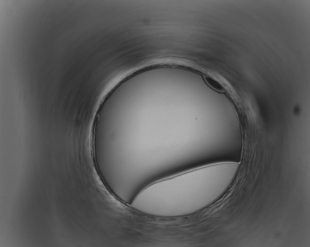 X0000090431199200707131001