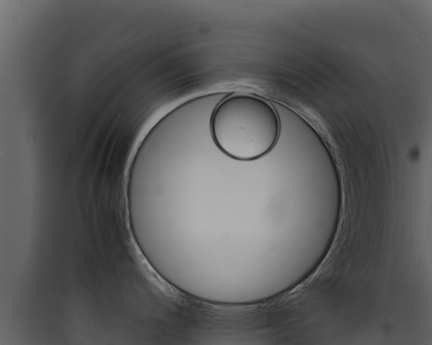 X0000090431200200707131001