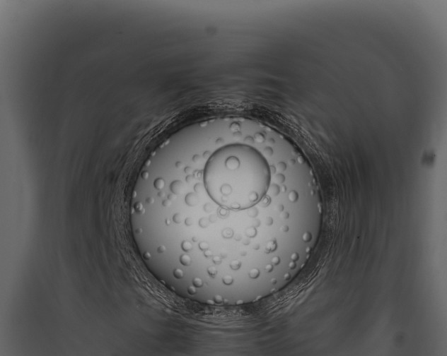 X0000090431201200707131001
