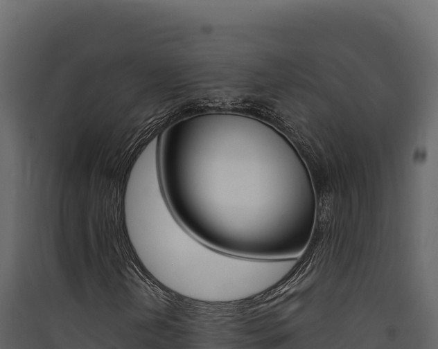 X0000090431202200707131001
