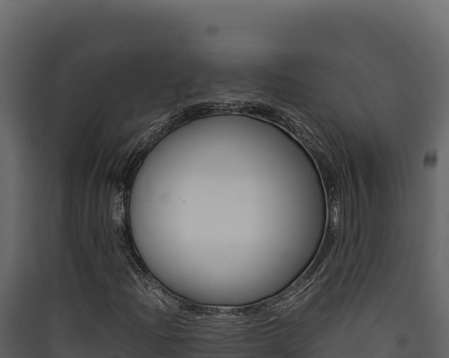 X0000090431204200707131001