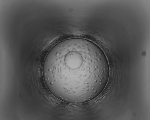 X0000090431205200707131001