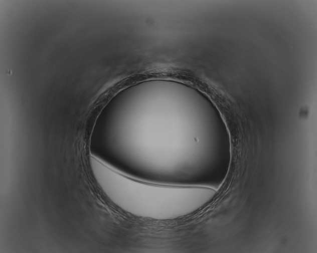X0000090431206200707131001