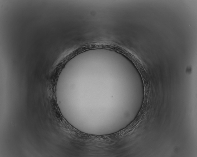 X0000090431207200707131001