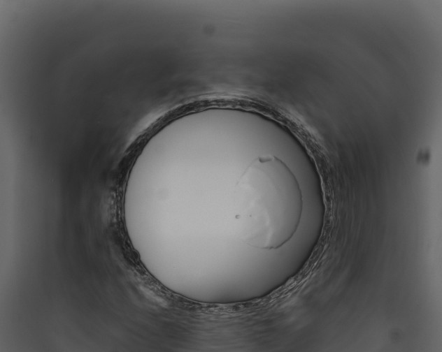 X0000090431208200707131001