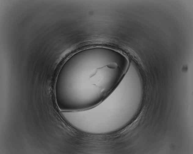 X0000090431210200707131001