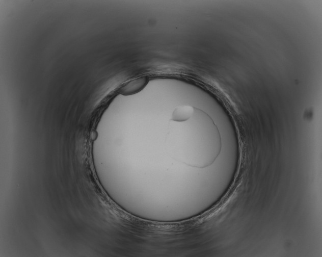 X0000090431211200707131001