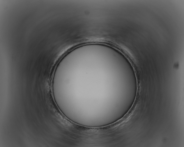 X0000090431212200707131001