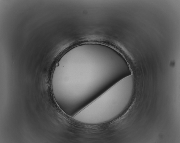 X0000090431213200707131001