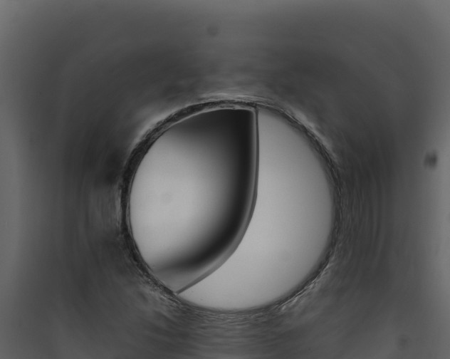 X0000090431214200707131001