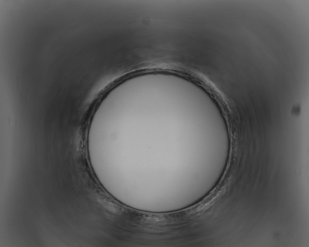 X0000090431215200707131001