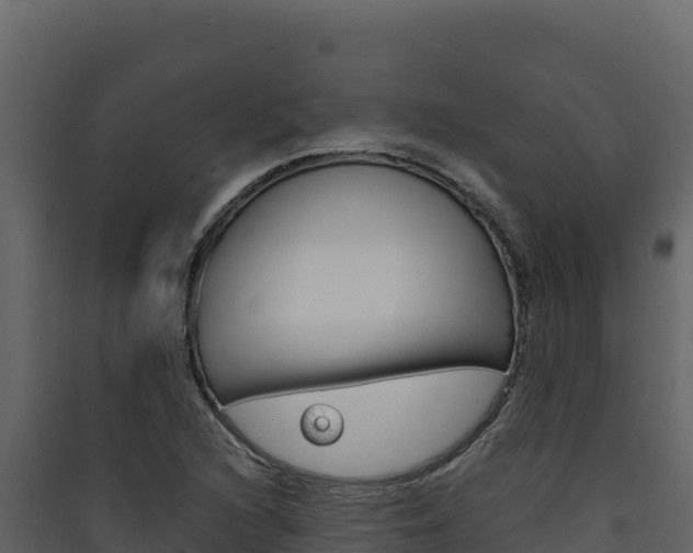 X0000090431216200707131001