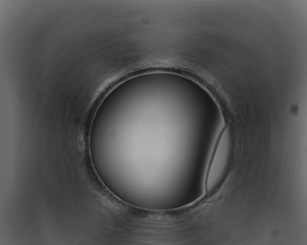 X0000090431218200707131001