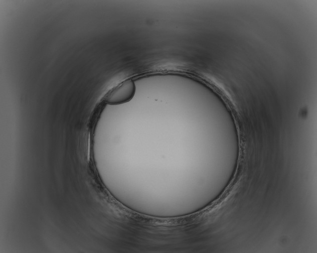 X0000090431219200707131001
