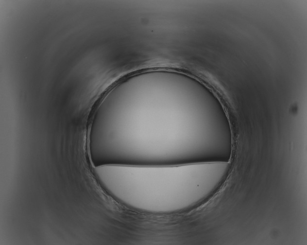 X0000090431220200707131001