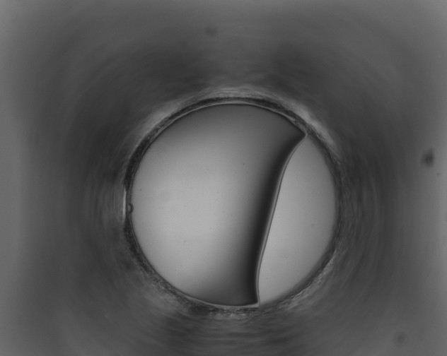 X0000090431221200707131001
