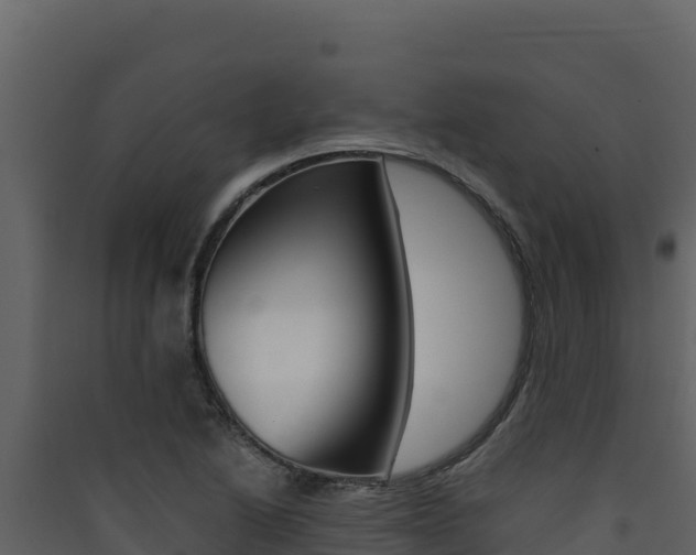 X0000090431222200707131001