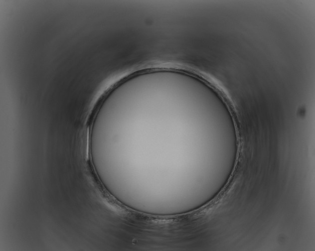 X0000090431223200707131001