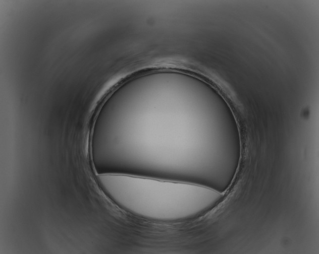 X0000090431224200707131001