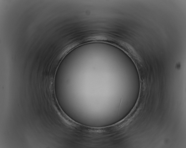 X0000090431225200707131001