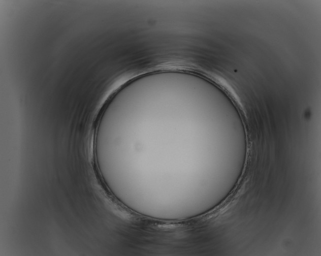 X0000090431227200707131001