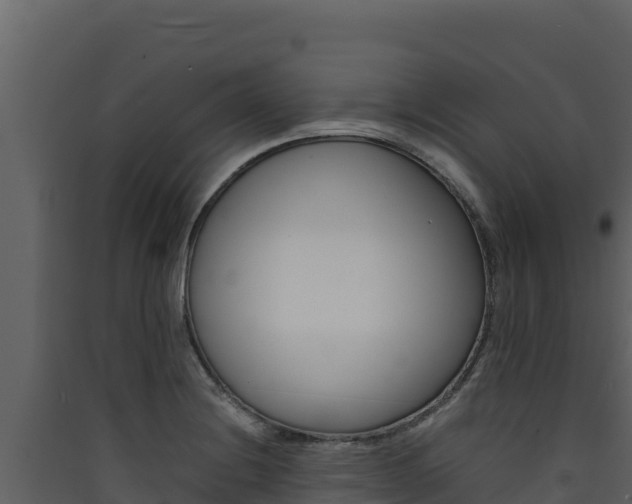 X0000090431228200707131001