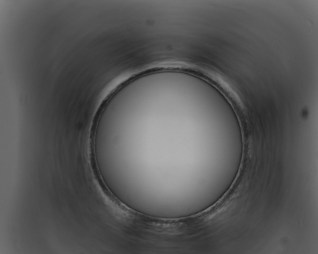 X0000090431229200707131001