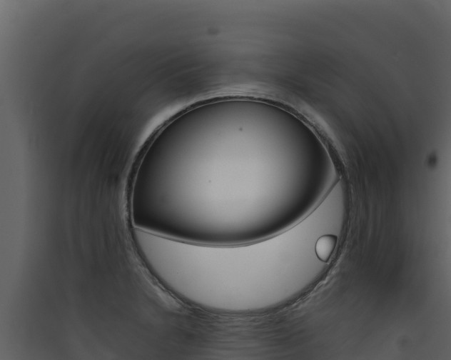 X0000090431230200707131001