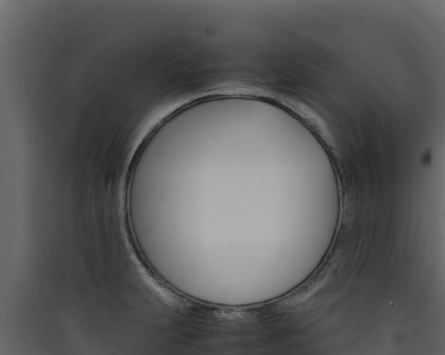 X0000090431231200707131001