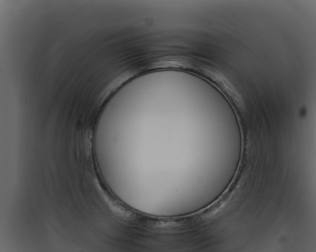 X0000090431233200707131001
