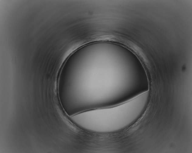 X0000090431234200707131001
