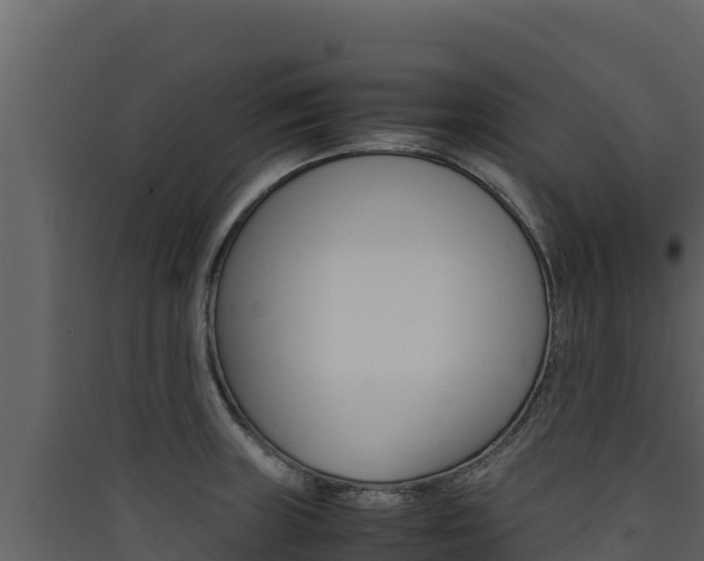 X0000090431235200707131001