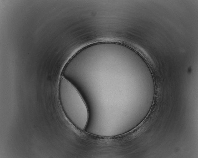 X0000090431236200707131001
