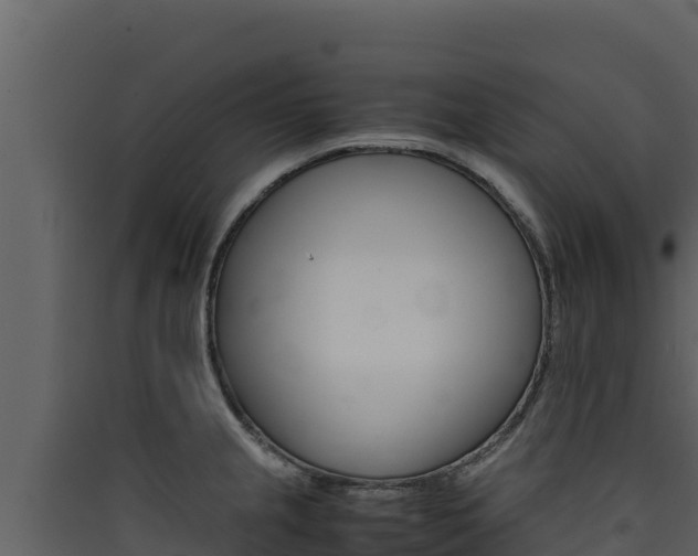 X0000090431237200707131001