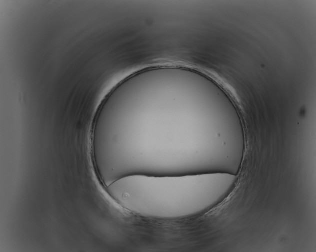 X0000090431239200707131001