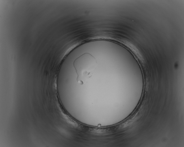 X0000090431241200707131001
