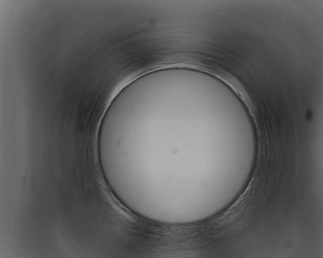 X0000090431242200707131001