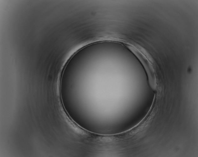 X0000090431246200707131001