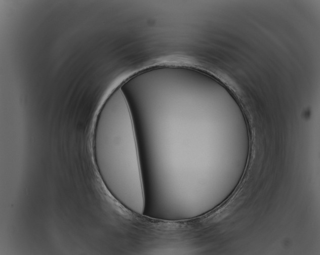 X0000090431248200707131001