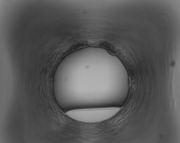 X0000090431249200707131001