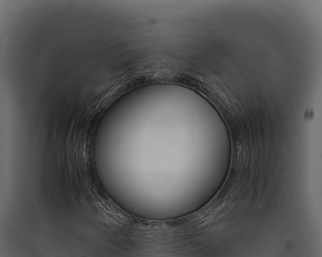 X0000090431250200707131000