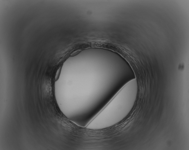 X0000090431252200707131000