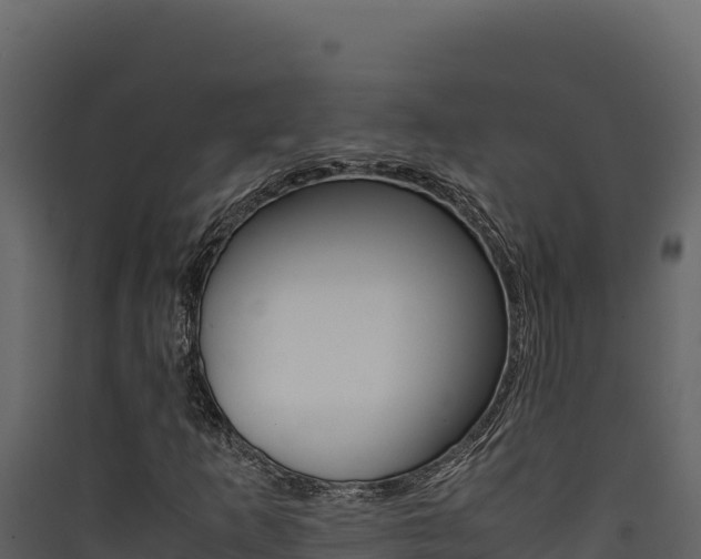 X0000090431253200707131000