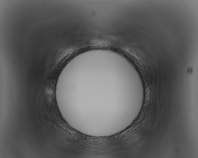 X0000090431254200707131000