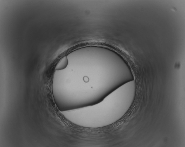 X0000090431255200707131000
