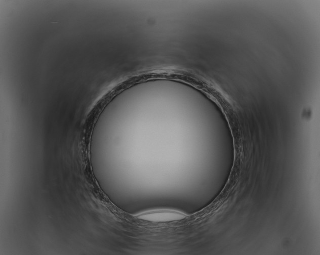 X0000090431256200707131000