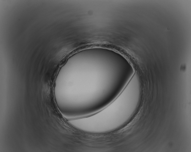 X0000090431257200707131000