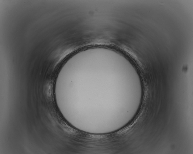 X0000090431258200707131000