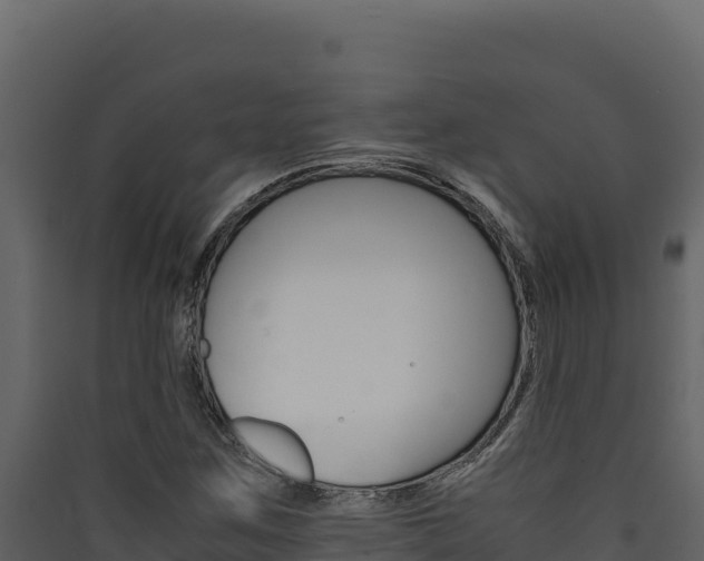 X0000090431259200707131000