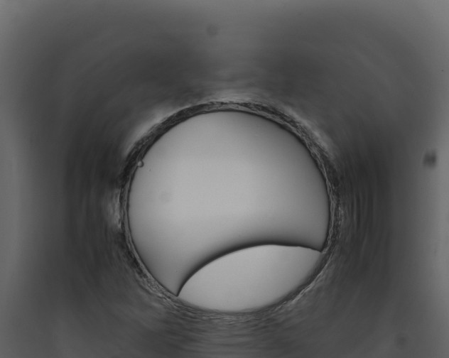 X0000090431262200707131000